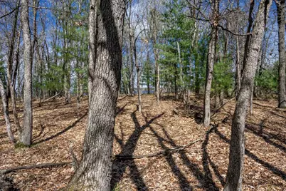 W3970 Boaters Dream Drive, Mauston, WI 53948 - Photo 46