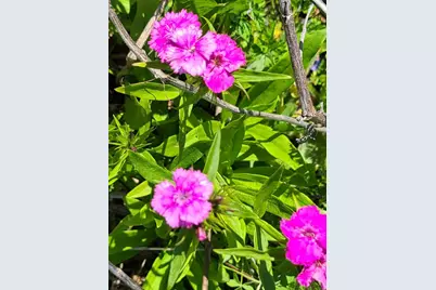 L2 N Hay Hollow Road, Blanchardville, WI 53516 - Photo 20