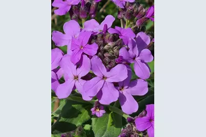 L2 N Hay Hollow Road, Blanchardville, WI 53516 - Photo 18