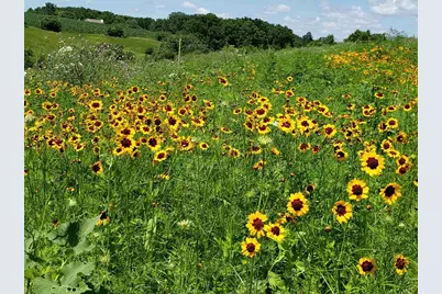 L2 N Hay Hollow Road, Blanchardville, WI 53516 - Photo 2