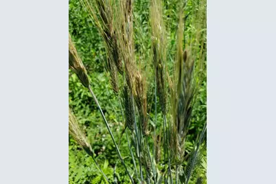 L2 N Hay Hollow Road, Blanchardville, WI 53516 - Photo 14