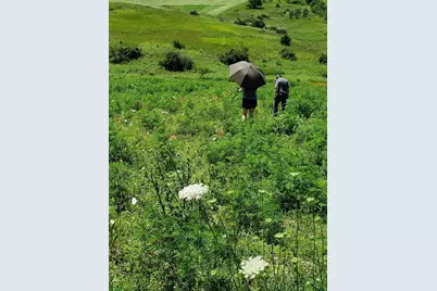 L2 N Hay Hollow Road, Blanchardville, WI 53516 - Photo 12