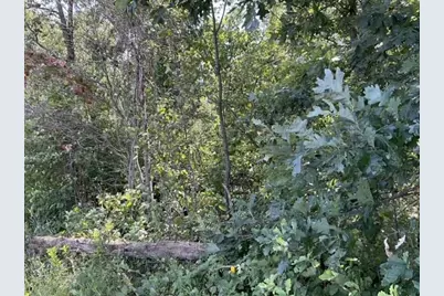 Lot 18 7th Street, Necedah, WI 54646 - Photo 8