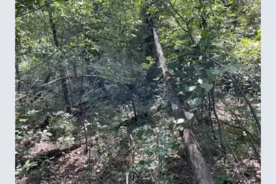 Lot 18 7th Street, Necedah, WI 54646 - Photo 10