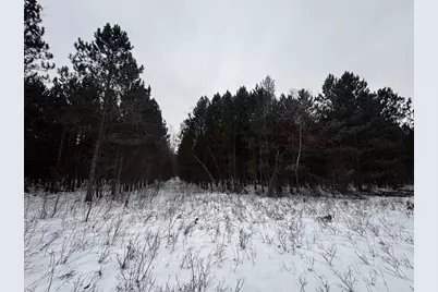 81.64 Ac 28th St Acres, New Lisbon, WI 53950 - Photo 40