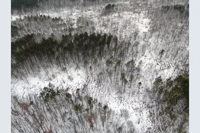 81.64 Ac 28th St Acres, New Lisbon, WI 53950 - Photo 8