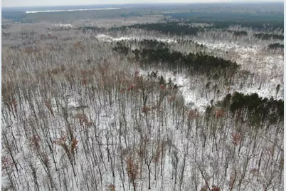 81.64 Ac 28th St Acres, New Lisbon, WI 53950 - Photo 4