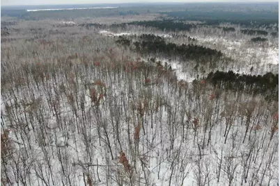81.64 Ac 28th St Acres, New Lisbon, WI 53950 - Photo 2