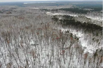 81.64 Ac 28th St Acres, New Lisbon, WI 53950 - Photo 6