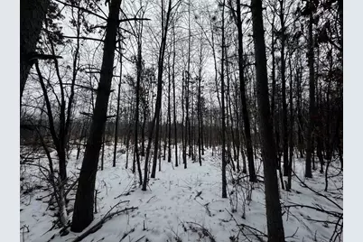 81.64 Ac 28th St Acres, New Lisbon, WI 53950 - Photo 38