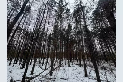 81.64 Ac 28th St Acres, New Lisbon, WI 53950 - Photo 34