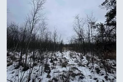 81.64 Ac 28th St Acres, New Lisbon, WI 53950 - Photo 42