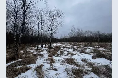 81.64 Ac 28th St Acres, New Lisbon, WI 53950 - Photo 36