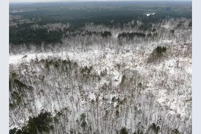 81.64 Ac 28th St Acres, New Lisbon, WI 53950 - Photo 18