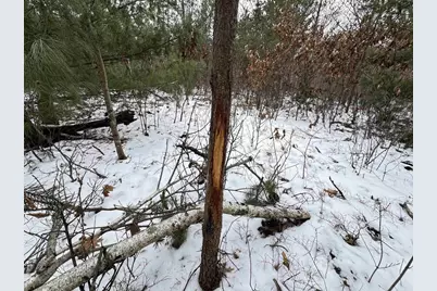 120 Ac 30th St Acres, New Lisbon, WI 53950 - Photo 4