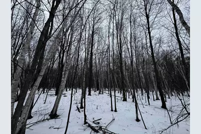 120 Ac 30th St Acres, New Lisbon, WI 53950 - Photo 34