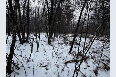 120 Ac 30th St Acres, New Lisbon, WI 53950 - Photo 36