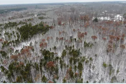 120 Ac 30th St Acres, New Lisbon, WI 53950 - Photo 8