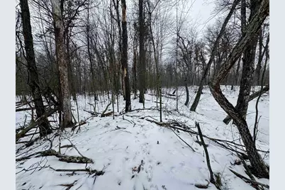 120 Ac 30th St Acres, New Lisbon, WI 53950 - Photo 40