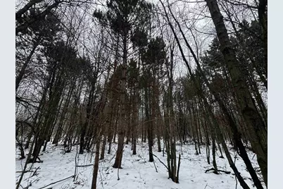 120 Ac 30th St Acres, New Lisbon, WI 53950 - Photo 44