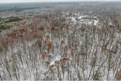 120 Ac 30th St Acres, New Lisbon, WI 53950 - Photo 22
