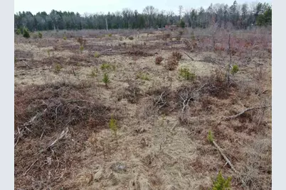 80 Ac 25th St Acres, Necedah, WI 54646 - Photo 20