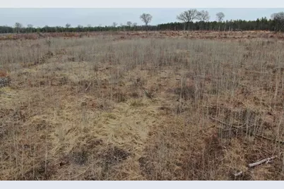 80 Ac 25th St Acres, Necedah, WI 54646 - Photo 18