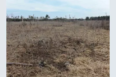 80 Ac 25th St Acres, Necedah, WI 54646 - Photo 16