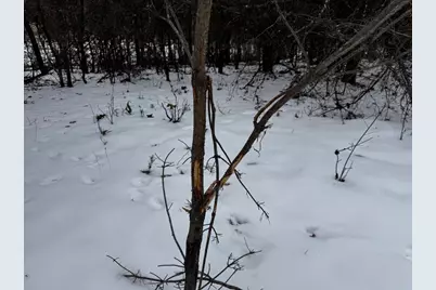 120 Ac East 30th St Acres, New Lisbon, WI 53950 - Photo 26