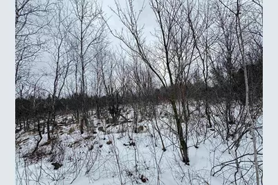 120 Ac East 30th St Acres, New Lisbon, WI 53950 - Photo 8