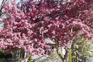 1703 Cumberland Ct, Waunakee, WI 53597 - Photo 48