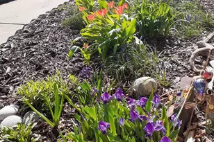 1703 Cumberland Ct, Waunakee, WI 53597 - Photo 46