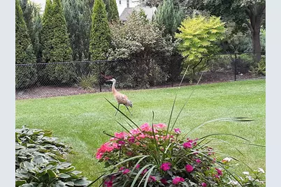 1703 Cumberland Court, Waunakee, WI 53597 - Photo 50