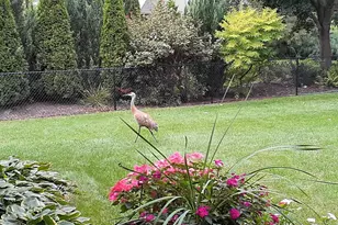 1703 Cumberland Ct, Waunakee, WI 53597 - Photo 50