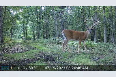 N4076 &amp; N4084 10th Drive, Montello, WI 53949 - Photo 86