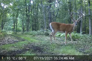 N4076 &amp N4084 10th Dr, Montello, WI 53949 - Photo 86