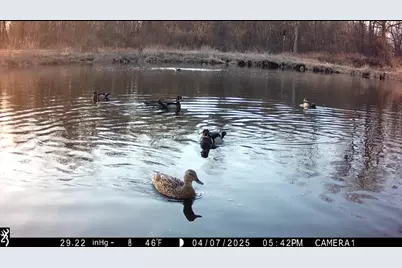 N4076 &amp; N4084 10th Drive, Montello, WI 53949 - Photo 84