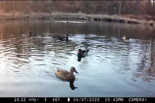 N4076 &amp N4084 10th Dr, Montello, WI 53949 - Photo 84