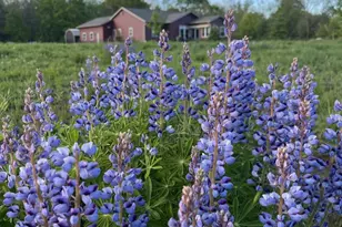 N4076 &amp N4084 10th Dr, Montello, WI 53949 - Photo 74