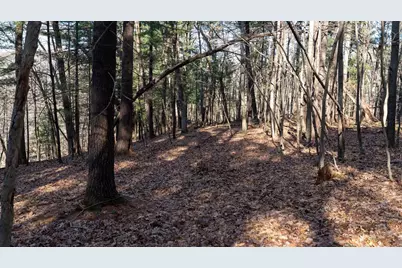 W7113 Leigh Road, Mauston, WI 53948 - Photo 40