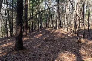 W7113 Leigh Rd, Mauston, WI 53948 - Photo 40