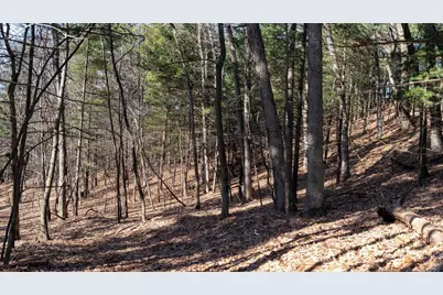 W7113 Leigh Road, Mauston, WI 53948 - Photo 34