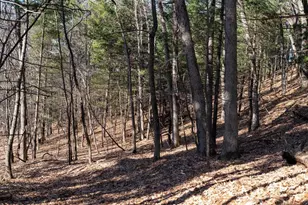 W7113 Leigh Rd, Mauston, WI 53948 - Photo 34