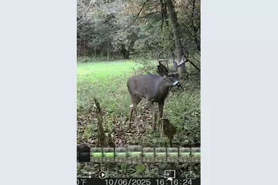 W7113 Leigh Road, Mauston, WI 53948 - Photo 26