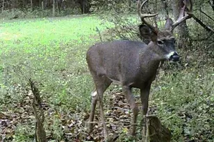 W7113 Leigh Rd, Mauston, WI 53948 - Photo 26