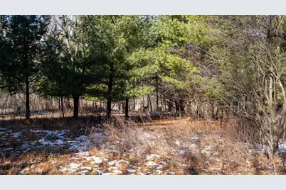 W7113 Leigh Road, Mauston, WI 53948 - Photo 70