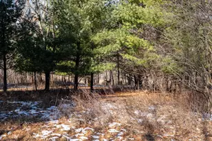 W7113 Leigh Rd, Mauston, WI 53948 - Photo 70