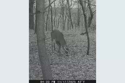 W7113 Leigh Road, Mauston, WI 53948 - Photo 26