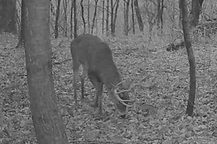 W7113 Leigh Rd, Mauston, WI 53948 - Photo 26