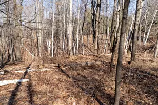 W7113 Leigh Rd, Mauston, WI 53948 - Photo 66